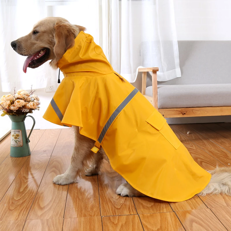 Labrador Raincoats - KibrisPDR