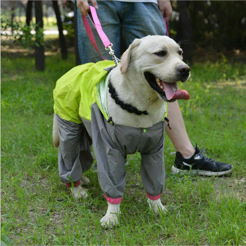 Detail Labrador Raincoats Nomer 2