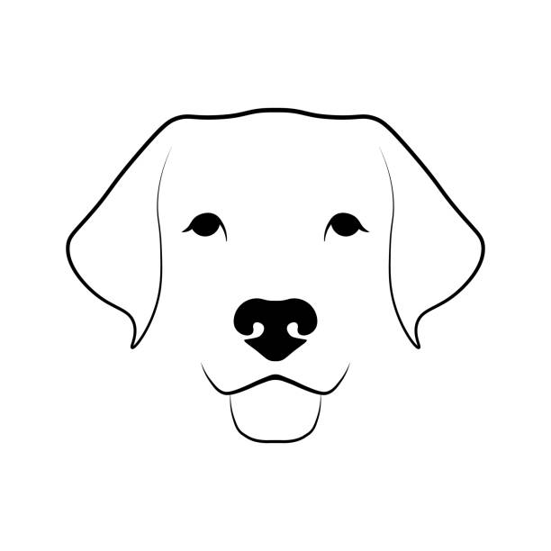 Detail Labrador Retriever Clip Art Nomer 2