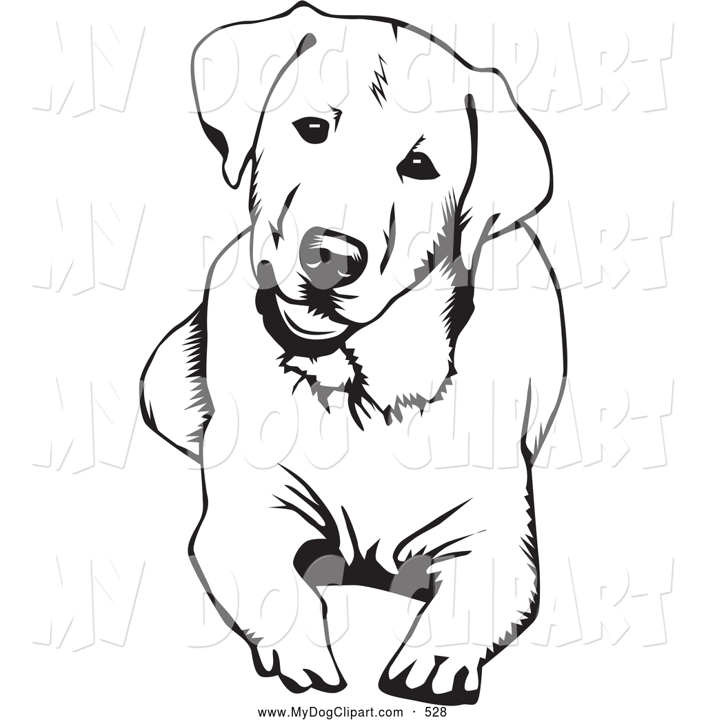 Detail Labrador Retriever Clip Art Nomer 10