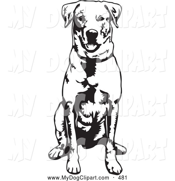 Detail Labrador Retriever Clip Art Nomer 11