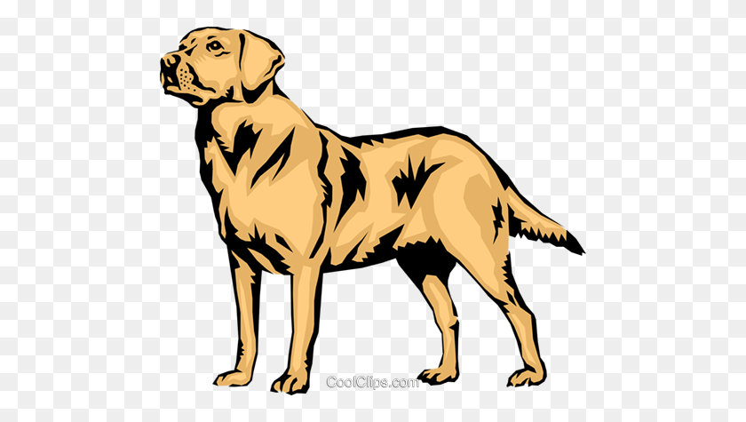 Detail Labrador Retriever Clip Art Nomer 28