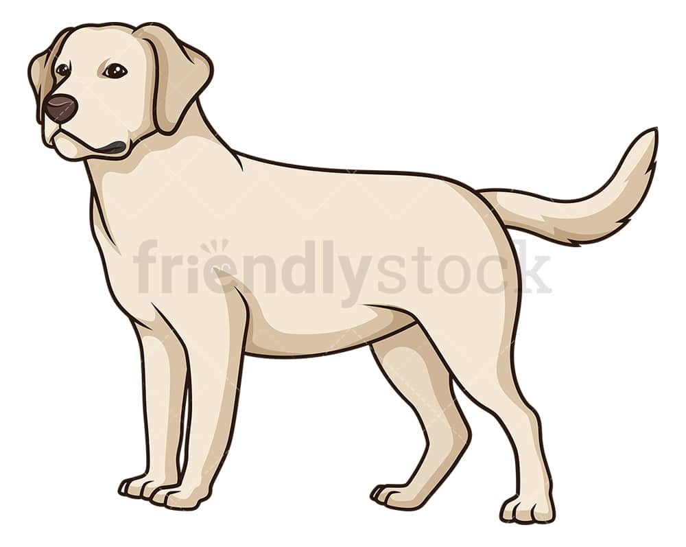 Detail Labrador Retriever Clip Art Nomer 4