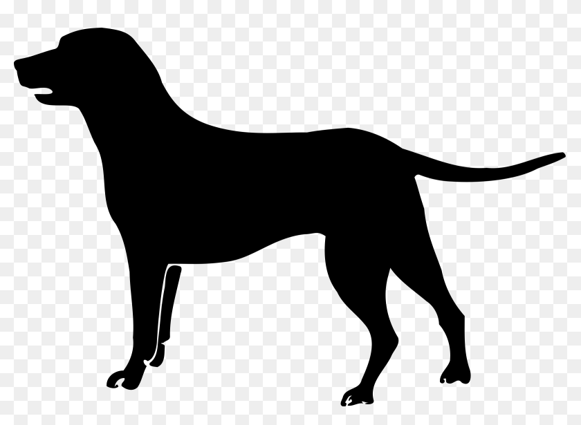 Detail Labrador Retriever Clip Art Nomer 42