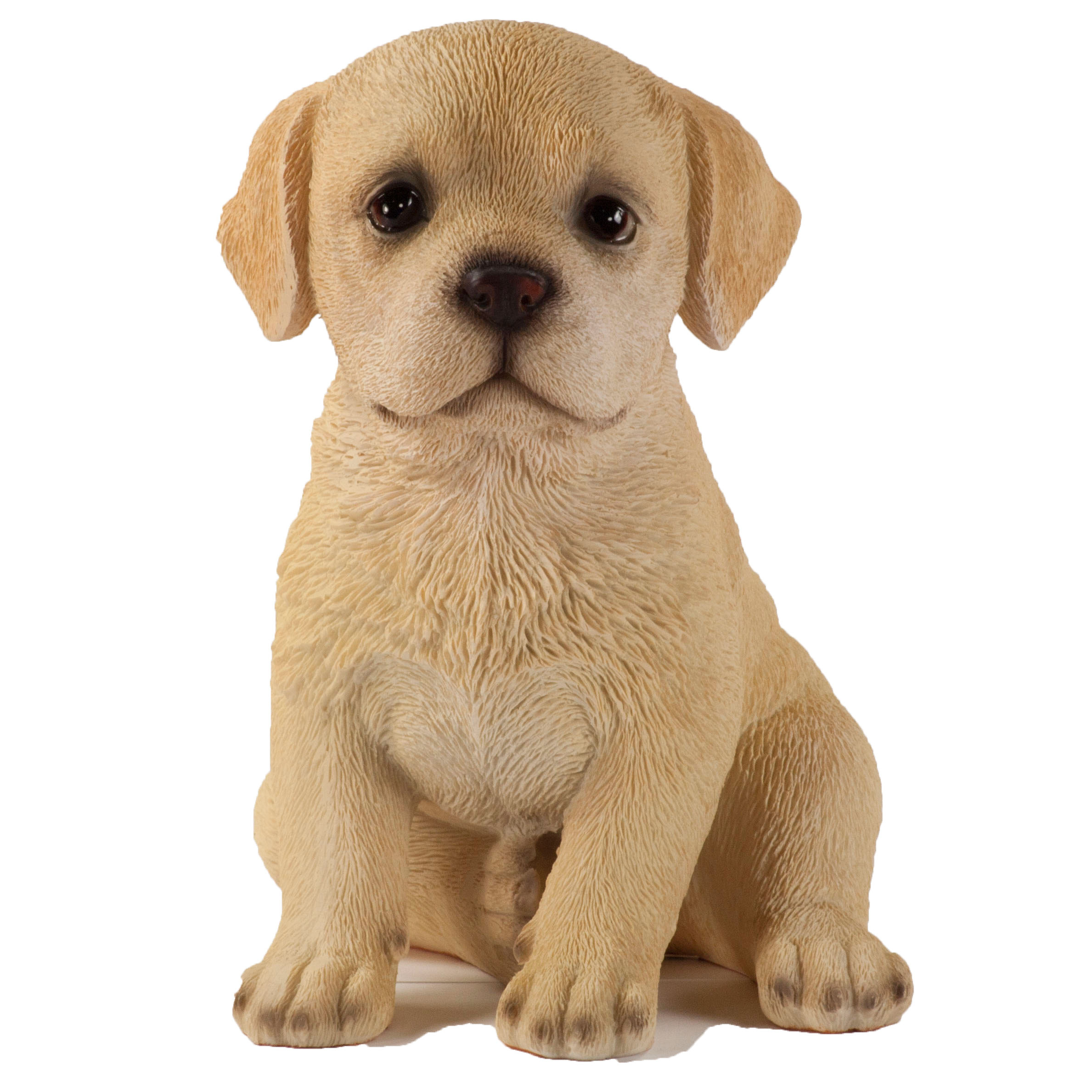 Detail Labrador Retriever Puppy Images Nomer 23