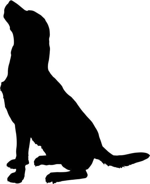 Detail Labrador Retriever Silhouette Clip Art Nomer 8