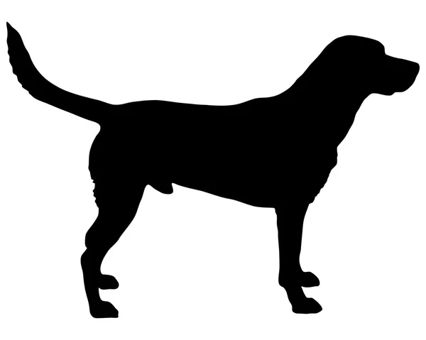 Detail Labrador Retriever Silhouette Clip Art Nomer 15