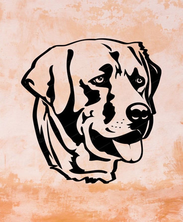 Detail Labrador Retriever Silhouette Clip Art Nomer 42