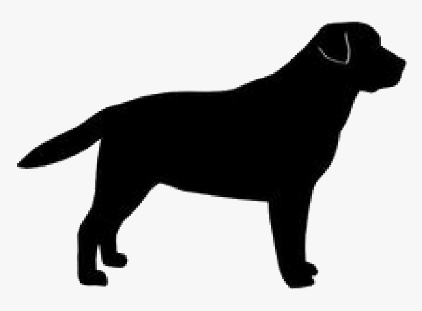 Detail Labrador Retriever Silhouette Clip Art Nomer 4