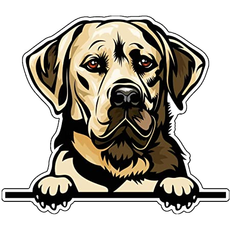 Labrador Retriever Sticker - KibrisPDR