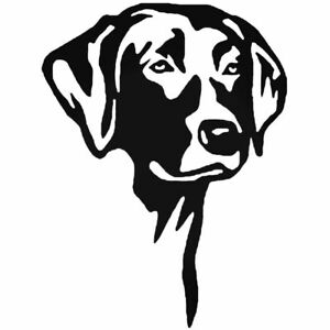 Detail Labrador Retriever Sticker Nomer 11