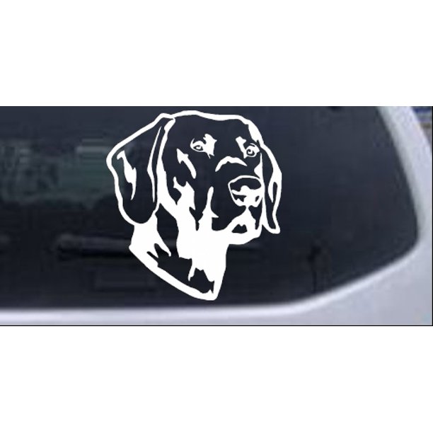 Detail Labrador Retriever Sticker Nomer 30