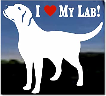 Detail Labrador Retriever Sticker Nomer 34