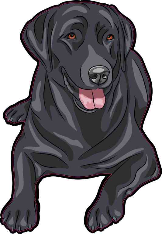 Detail Labrador Retriever Sticker Nomer 8