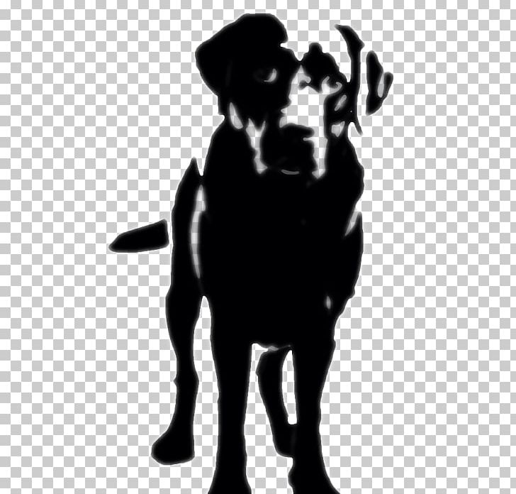 Detail Labrador Silhouette Png Nomer 31