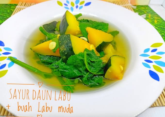 Detail Labu Buah Atau Sayur Nomer 14