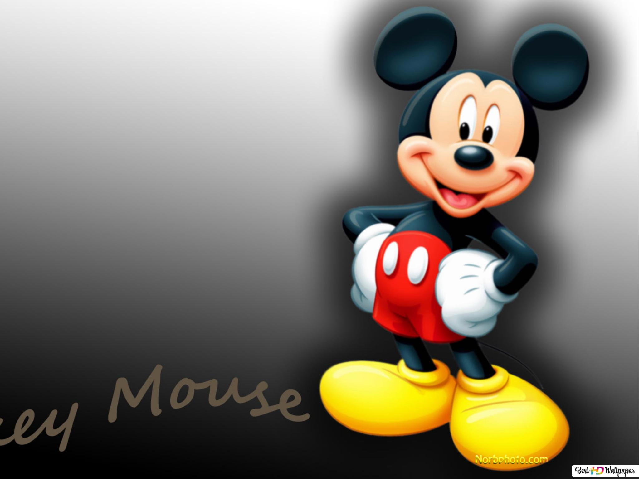 Detail Mickey Mouse Wallpaper Download Nomer 38