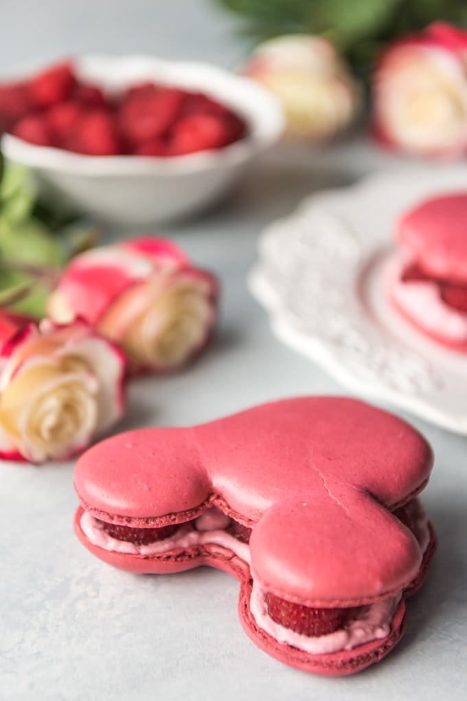 Detail Mickey Raspberry Macaron Nomer 9