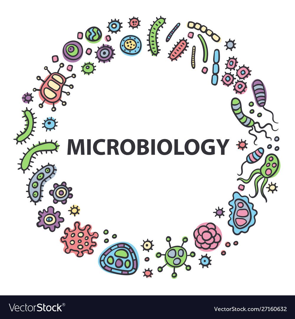 Detail Microbiology Wallpaper Nomer 21