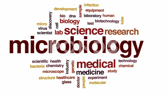 Detail Microbiology Wallpaper Nomer 33