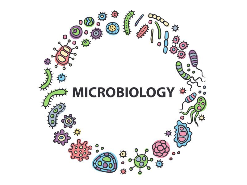 Detail Microbiology Wallpaper Nomer 35