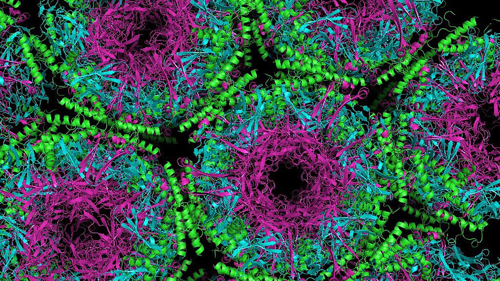 Detail Microbiology Wallpaper Nomer 5