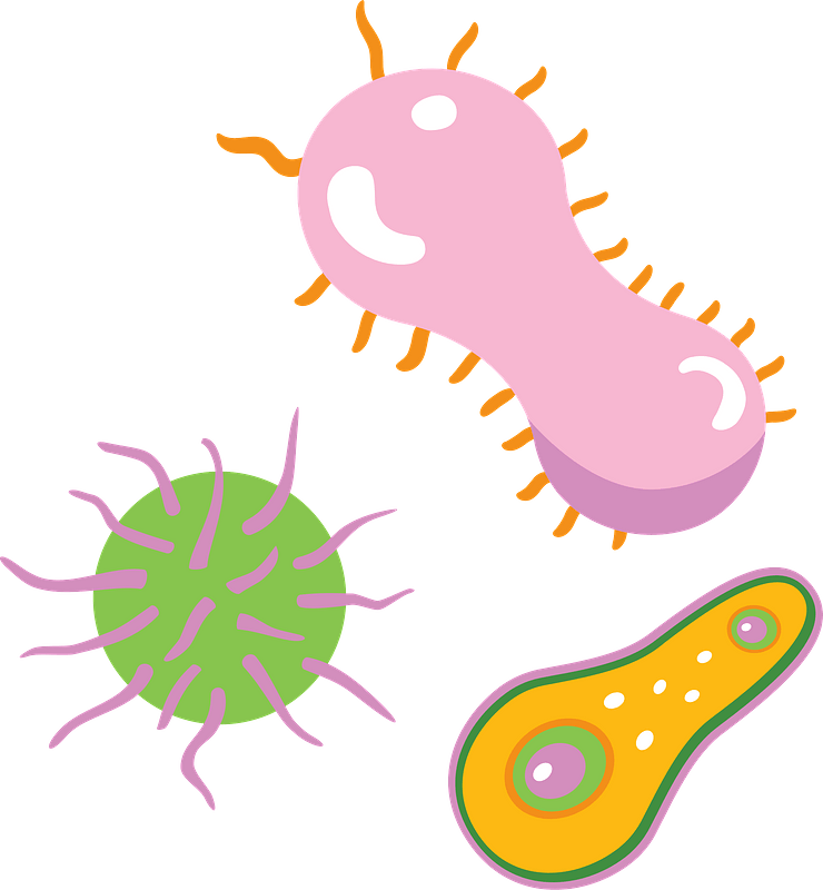 Detail Microorganisms Clipart Nomer 11