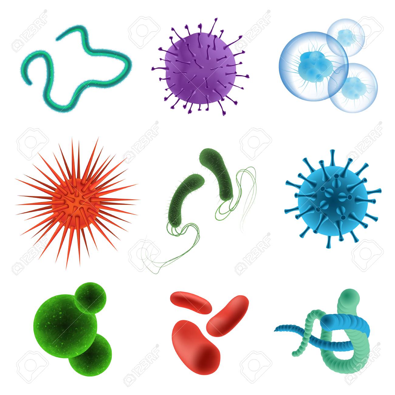 Detail Microorganisms Clipart Nomer 33