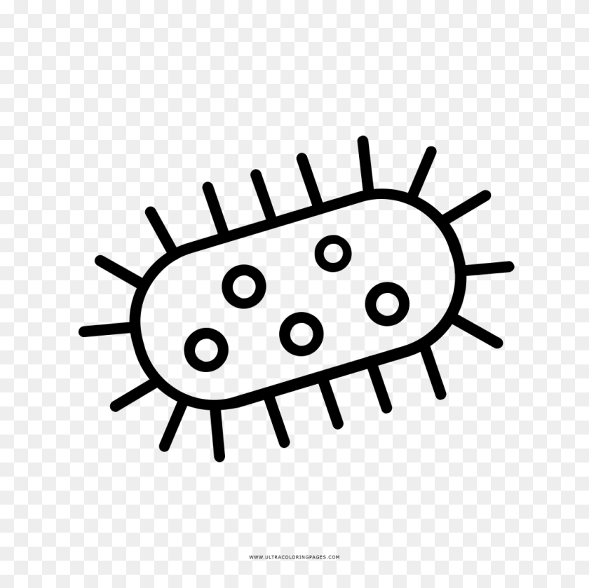 Detail Microorganisms Clipart Nomer 46