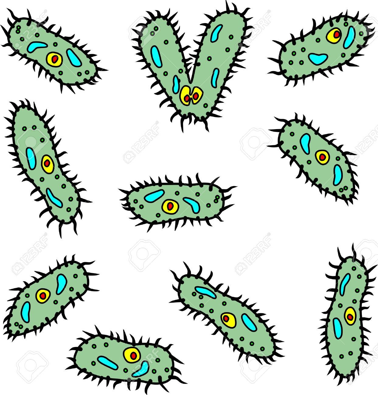 Detail Microorganisms Clipart Nomer 49