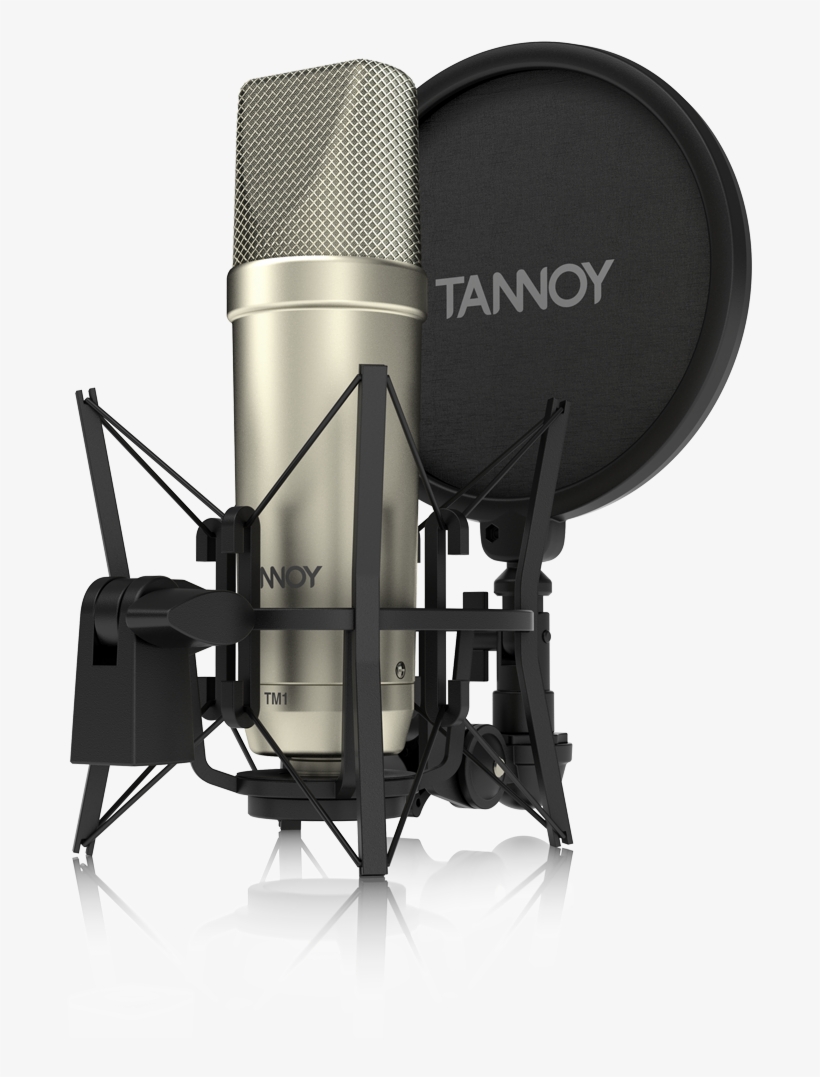 Detail Microphone Png Vector Nomer 26