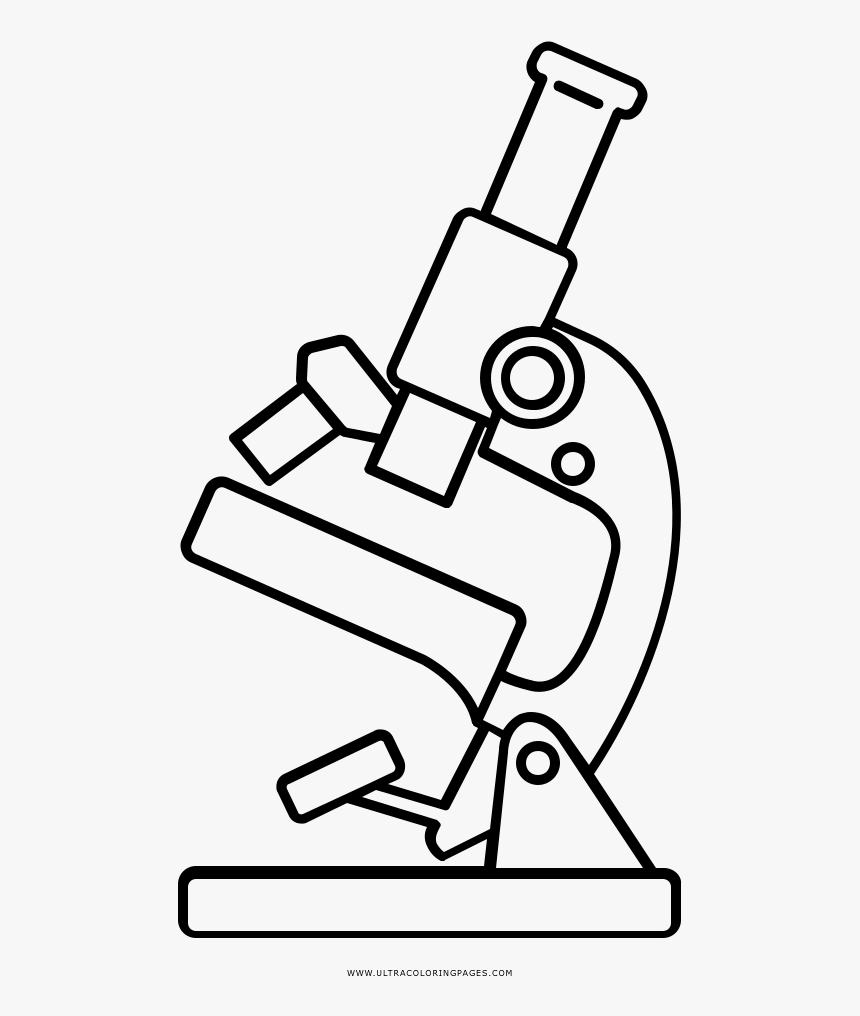 Detail Microscope Clip Art Free Nomer 12