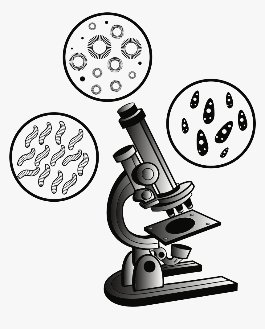 Detail Microscope Clip Art Free Nomer 16