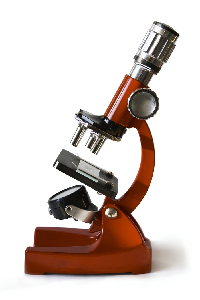 Detail Microscope Clip Art Free Nomer 27