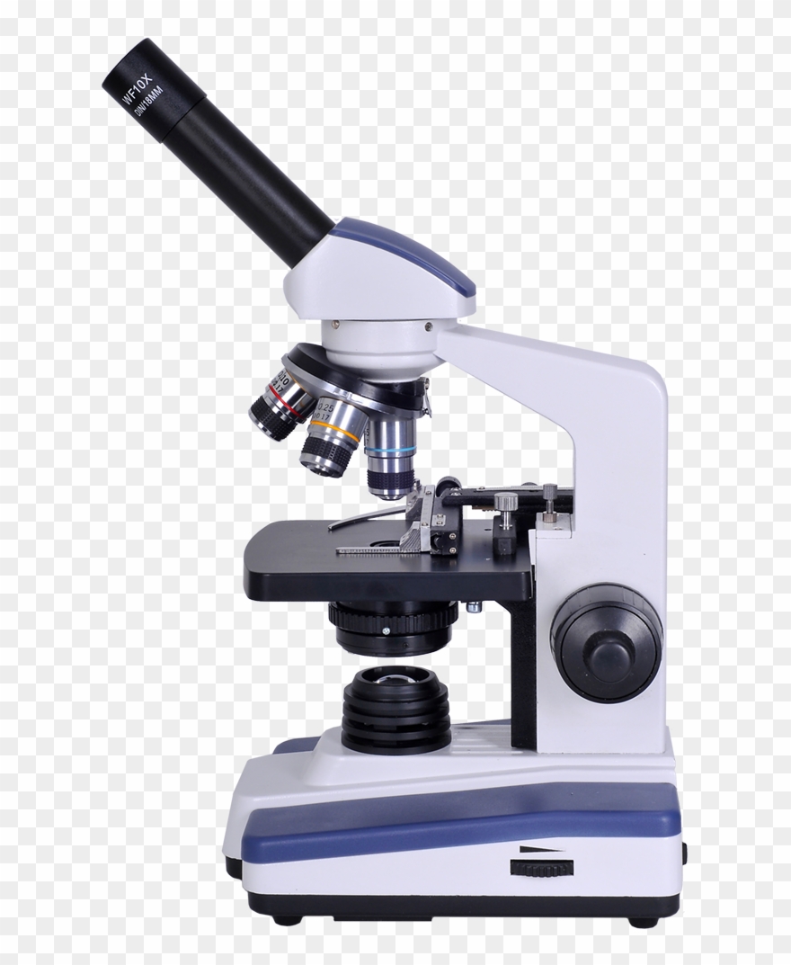 Detail Microscope Clip Art Free Nomer 41