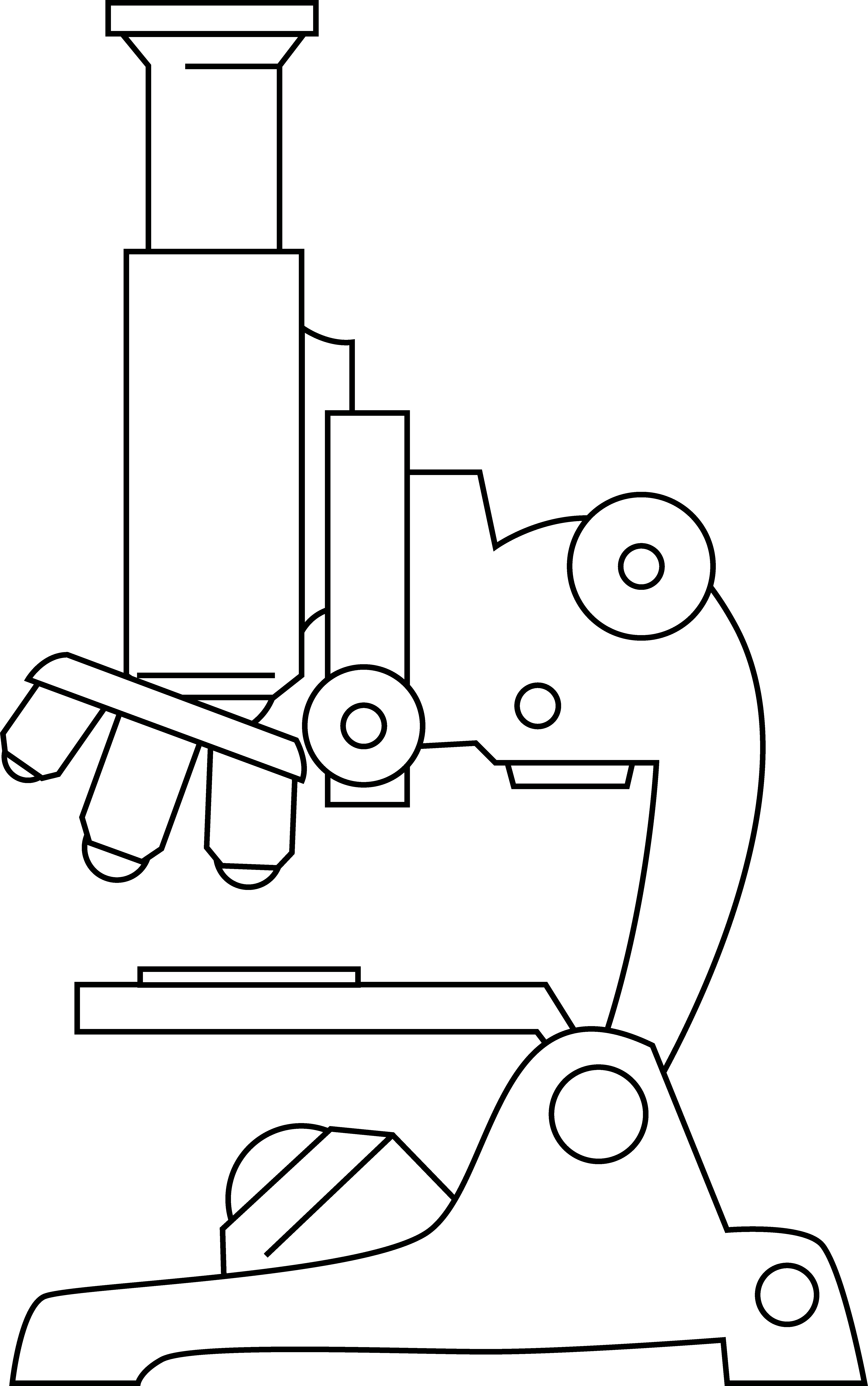 Detail Microscope Clip Art Free Nomer 46
