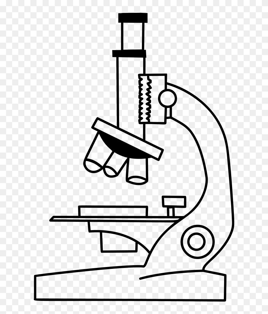 Detail Microscope Clip Art Free Nomer 6