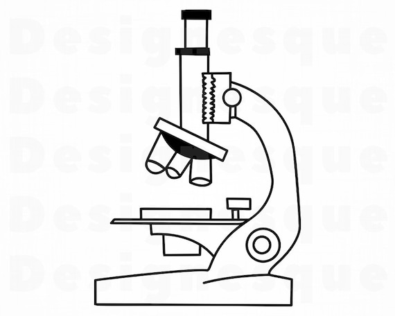 Detail Microscope Clipart Nomer 12