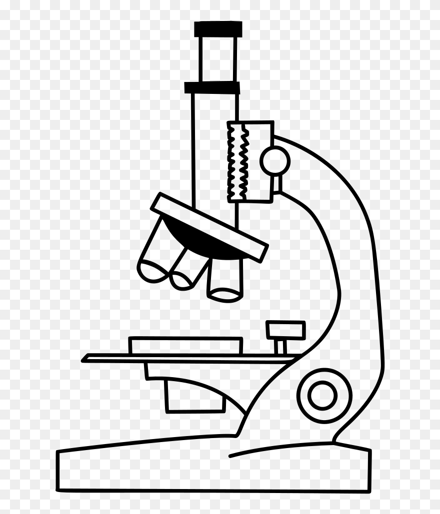 Detail Microscope Clipart Nomer 15