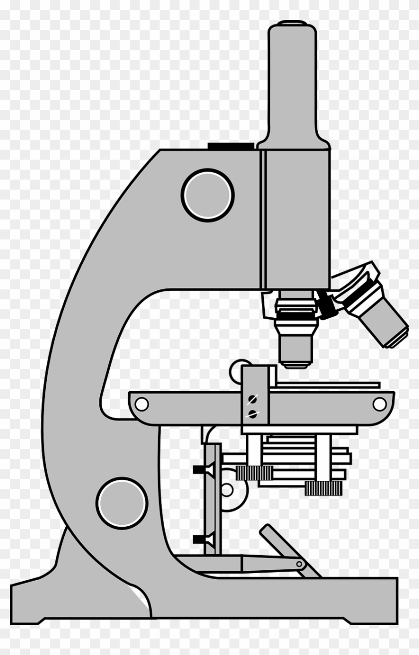 Detail Microscope Clipart Nomer 33