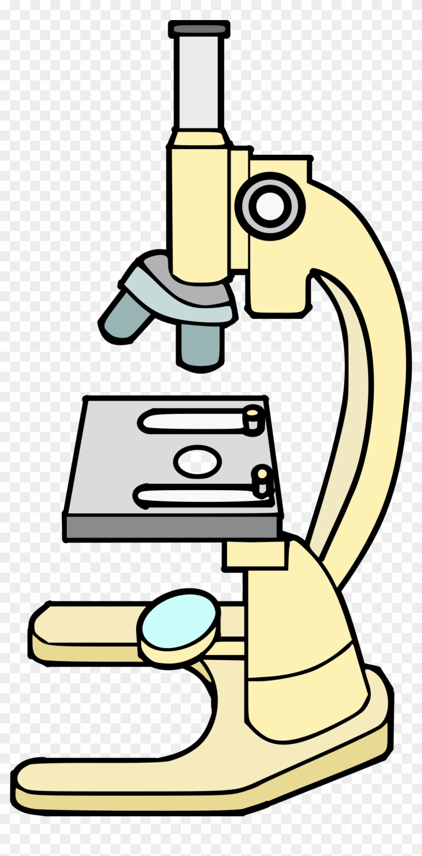 Detail Microscope Clipart Nomer 40