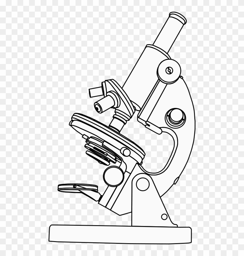 Detail Microscope Clipart Nomer 44