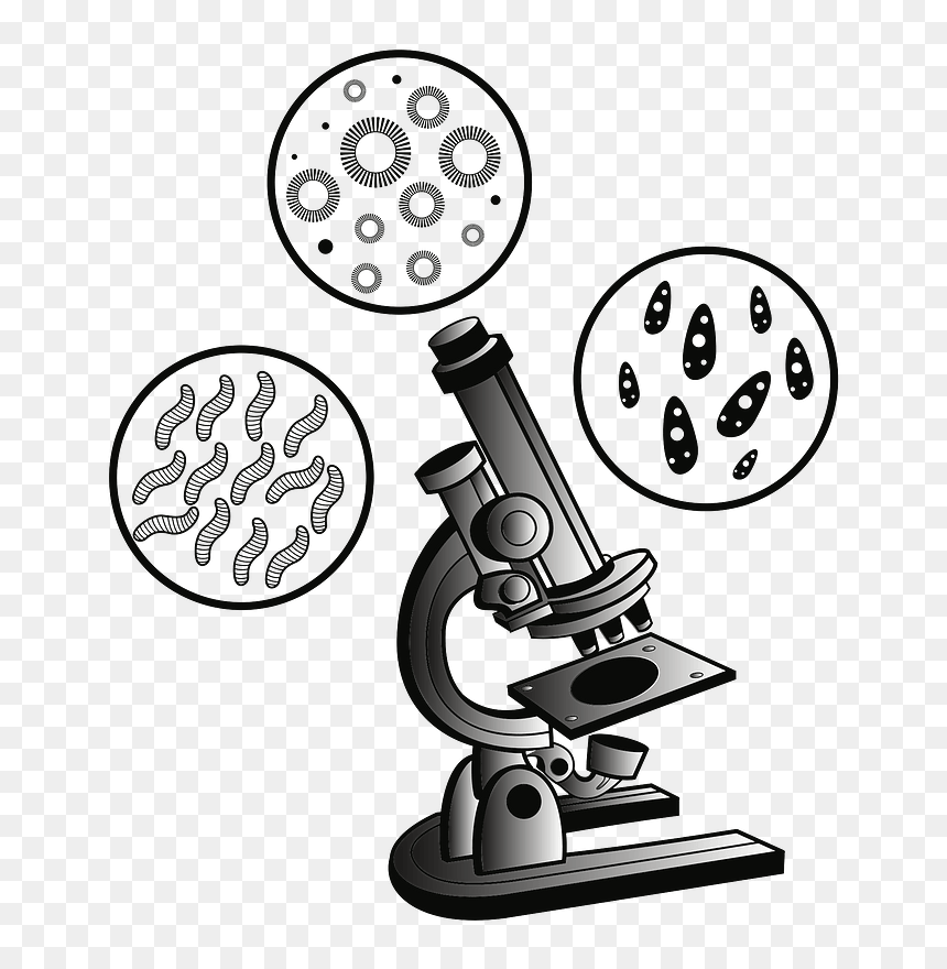 Detail Microscope Clipart Black And White Nomer 54