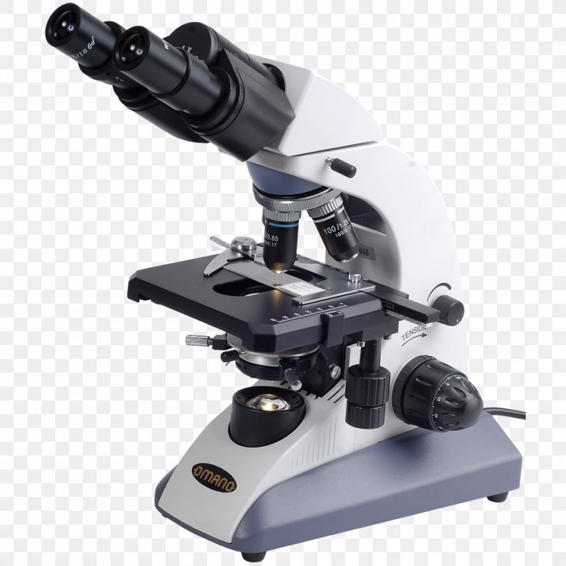 Detail Microscope Download Nomer 13