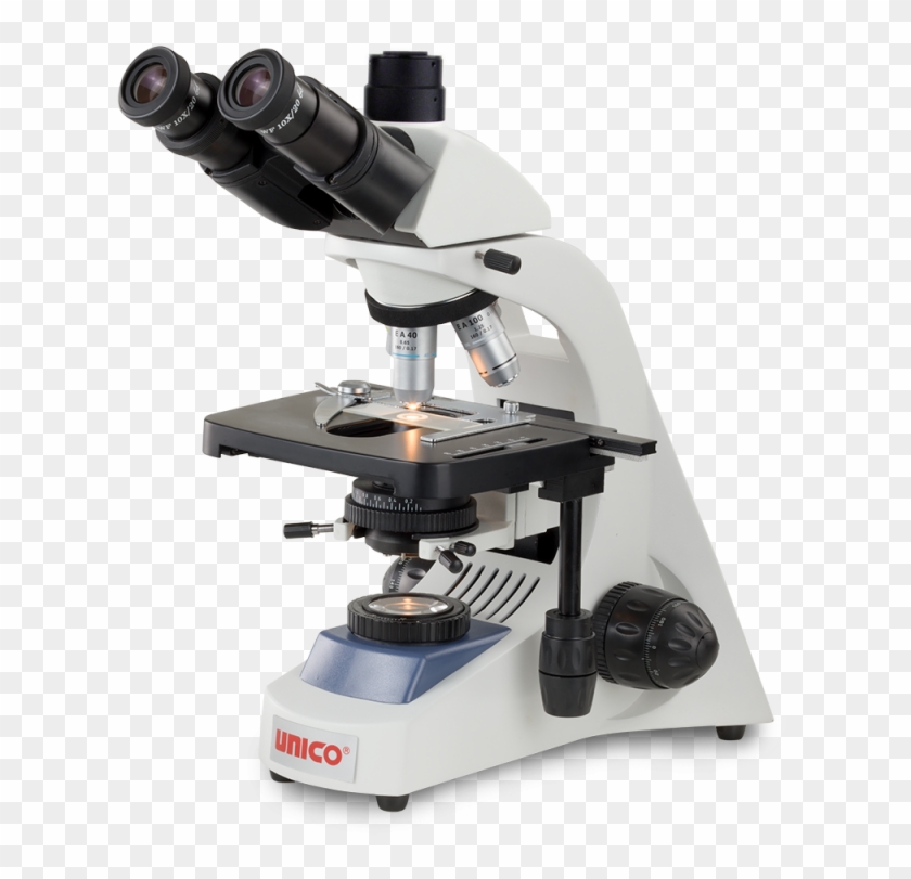 Detail Microscope Download Nomer 15