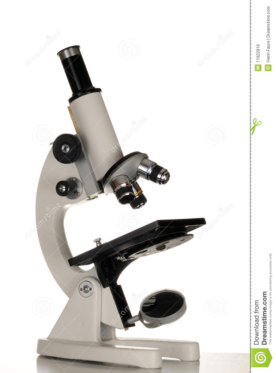 Detail Microscope Download Nomer 16