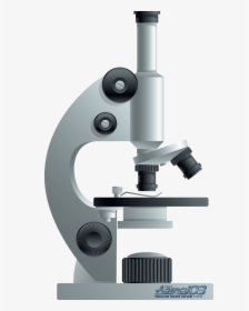 Detail Microscope Download Nomer 22