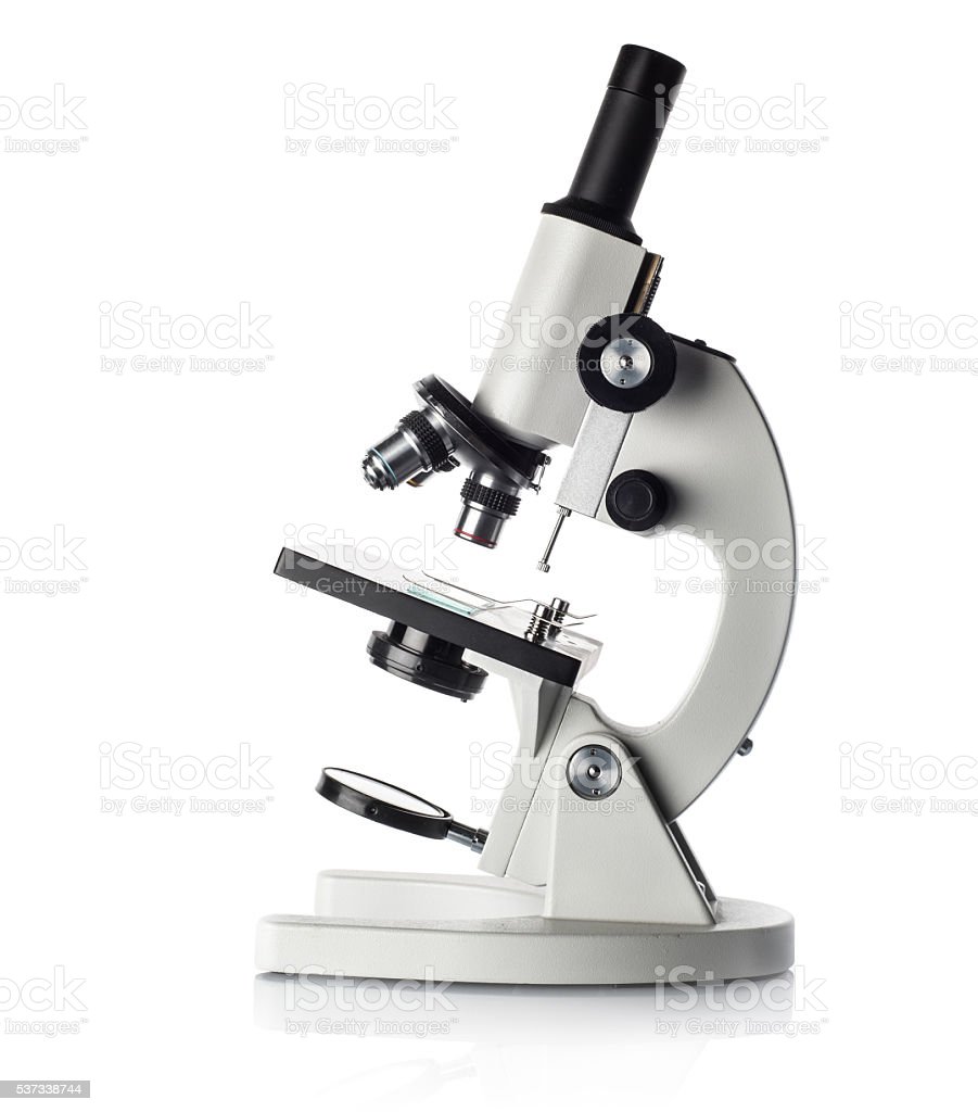 Detail Microscope Download Nomer 24