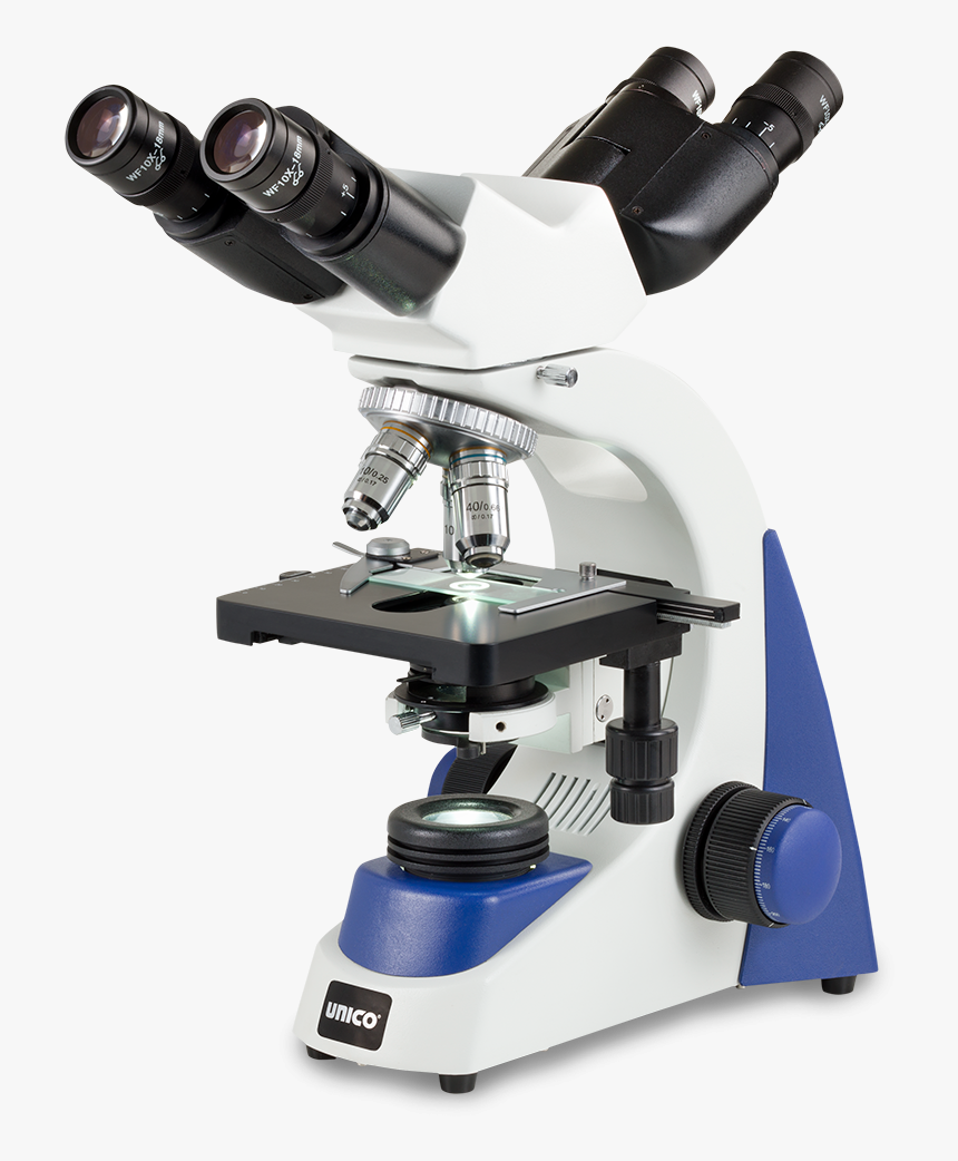 Detail Microscope Download Nomer 32