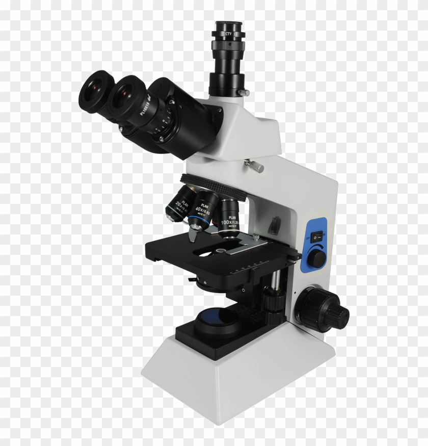 Detail Microscope Download Nomer 35